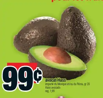 Super C avocat Hass | Hass avocado offer