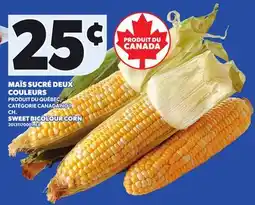 Provigo MAÏS SUCRÉ DEUX COULEURS offer