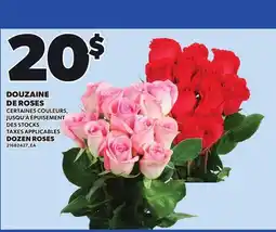 Provigo DOUZAINE DE ROSES offer