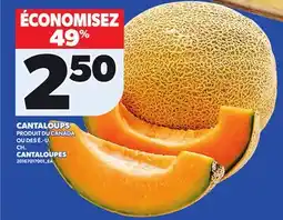 Provigo CANTALOUPES offer