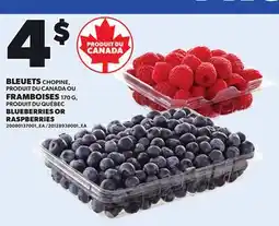 Provigo BLUEBERRIES OR RASPBERRIES, 170 G offer