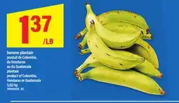 Maxi BANANE PLANTAIN offer