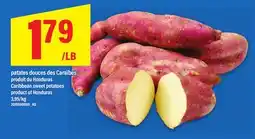 Maxi PATATES DOUCES DES CARAÏBES | CARIBBEAN SWEET POTATOES offer