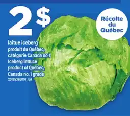 Maxi LAITUE ICEBERG offer