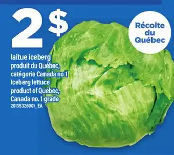 Maxi LAITUE ICEBERG offer