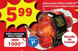 Maxi PÊCHES JAUNES DÉLICES DU MARCHÉ, 3 L offer