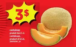 Maxi CANTALOUP offer