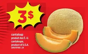 Maxi CANTALOUP offer