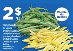 Maxi HARICOTS VERTS OU JAUNES | green or yellow beans offer