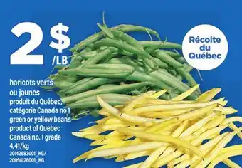 Maxi HARICOTS VERTS OU JAUNES | green or yellow beans offer
