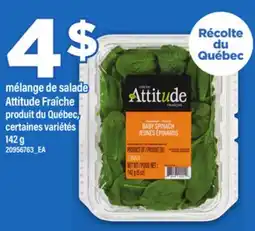 Maxi MÉLANGE DE SALADE ATTITUDE FRAÎCHE, 142 g offer