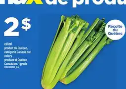 Maxi CÉLERI offer