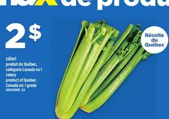 Maxi CÉLERI offer