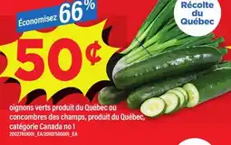 Maxi OIGNONS VERTS OU CONCOMBRES DES CHAMPS offer