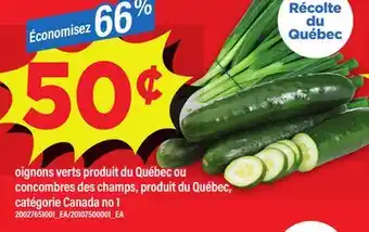 Maxi OIGNONS VERTS OU CONCOMBRES DES CHAMPS offer