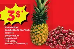 Maxi ANANAS ENTIER | whole pineapple offer