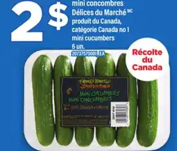 Maxi MINI CONCOMBRES DÉLICES DU MARCHÉ MC, 6 un offer