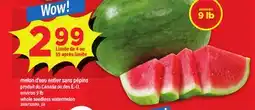 Maxi MELON D'EAU ENTIER SANS PÉPINS, ENVIRON 9 LB offer