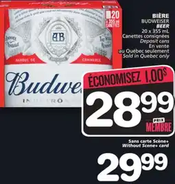 Marches Tradition BUDWEISER BEER offer