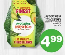 Marches Tradition HASS AVOCADO offer