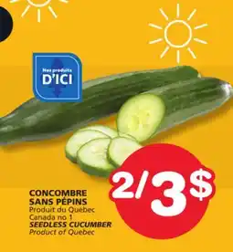 Marches Tradition SEEDLESS CUCUMBER offer