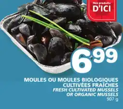Marches Tradition FRESH CULTIVATED MUSSELS OR ORGANIC MUSSELS offer