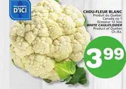 Marches Tradition WHITE CAULIFLOWER offer