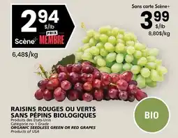 Rachelle-Bery Grocery ORGANIC SEEDLESS GREEN OR RED GRAPES offer