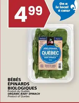 Rachelle-Bery Grocery ORGANIC BABY SPINACH offer