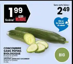 Rachelle-Bery Grocery ORGANIC SEEDLESS CUCUMBER offer