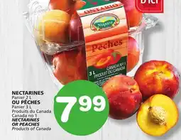 Marches Tradition NECTARINES Products of Canada Canada no 1 OR PEACHES Products of Canada offer