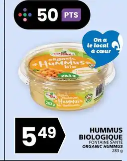 Rachelle-Bery Grocery FONTAINE SANTÉ ORGANIC HUMMUS offer