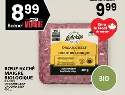 Rachelle-Bery Grocery 8 ACRES ORGANIC LEAN GROUND BEEF offer