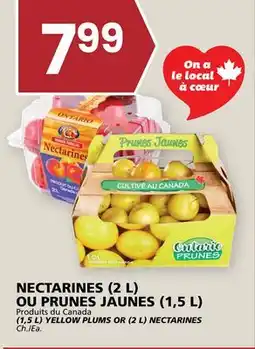 Rachelle-Bery Grocery (1,5 L) YELLOW PLUMS OR (2 L) NECTARINES offer