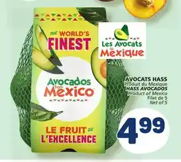 Marché Bonichoix HASS AVOCADOS offer