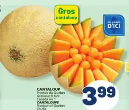 Marché Bonichoix CANTALOUPE offer