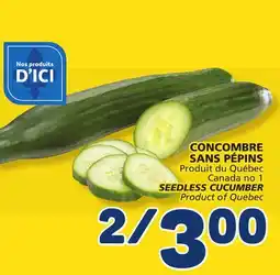 Marché Bonichoix SEEDLESS CUCUMBER offer