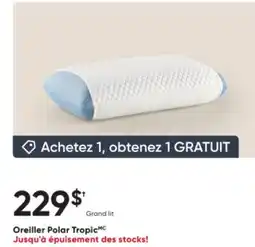 Dormez Vous Oreiller Polar Tropic offer