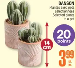 Jean Coutu DANSON Selected plants in a pot offer
