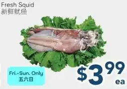 Oceans Fresh Food Market Fresh Squid offer
