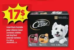 Maxi Cesar Wet Dog Food offer