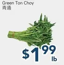 Oceans Fresh Food Market Green Ton Choy offer