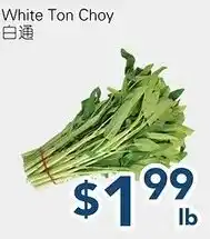 Oceans Fresh Food Market White Ton Choy offer