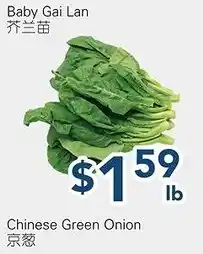 Oceans Fresh Food Market Baby Gai Lan offer