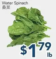 Oceans Fresh Food Market Water Spinach offer