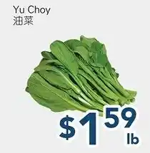 Oceans Fresh Food Market Yu Choy offer