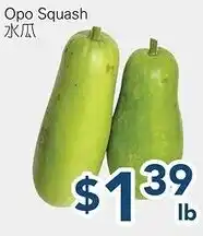 Oceans Fresh Food Market Opo Squash offer