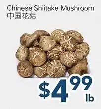 Oceans Fresh Food Market Chinese Shiitake Mushroom offer
