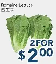 Oceans Fresh Food Market Romaine Lettuce offer