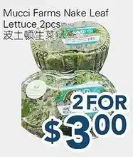 Oceans Fresh Food Market Mucci Farms Nake Leaf Lettuce offer